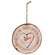 Snow Much Fun Wood Slice Ornament, 3 Asstd.