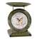 Winter Wishes Woodland Deer Scale Clock 75061;