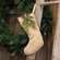 Natural Fabric Stocking with Winter Greenery and Rusty Star