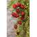 12 Set, Strawberry Spring Foam Ornament