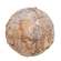 Sparkle Birch Ball Ornament, 4" RJAX4021;