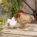 Fuzzy Chicken Ornament