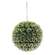 Snowy Pine Kissing Ball Ornament, 7" SR2319280;