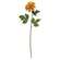 Golden Dahlia Stem, 24" SR2320457G;
