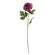 Plum Dahlia Stem, 24" SR2320457P;