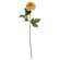 Teastain Dahlia Stem, 24" SR2320457T;
