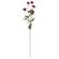 Plum Marigold Spray, 29.75" SR2320463P;