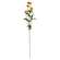 rigold Spray, 29.75" SR2320463T;