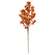 Bittersweet & Canella Berries Spray, 23" SR2320650;