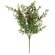 Lady Ruscus & Berries Bush, 19" SR2333298;