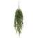 Lady Ruscus & Berries Hanging Bush, 36" SR2333299;