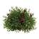 Lady Ruscus & Berries Half Sphere, 8.5" SR2333301;