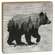 Woodland Forest Animal 4" Square Block - 3 Asstd.