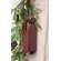 Distressed Wooden Red Sled with Pine - 9"
