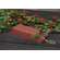 Distressed Wooden Red Sled with Pine - 9"