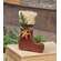Distressed Primitive Wood Red Stock Sitter with Pine & Rusty Star