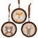 Woodland Friend Portrait Tree Trunk Ornament - 3 Asstd.