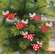Wooden Flying Angel Mice Pair Hanging Ornament - 3 Asstd.