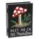 Cozy Woodland Eve Wooden Book Box - 3 Asstd.