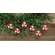 6 Set - Wood & Glass Marble Peppermint Ornaments