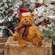 Cozy Christmas Highland Cow Doll