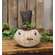 Stuffed Primitive Pine & Jingle Bell Snowman Head Sitter