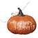 Happy Harvest Pumpkin