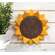 Distressed Carved Wooden Sunflower Wall Hanger
