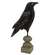 Distressed Carved Wooden Crow Pedestal - 17"H