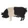 Distressed Carved Wooden Pig Hanger