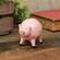 Resin Polka Dot Pink Pig Sitter