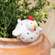 Hen Plant Hanger