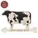 Farm Fresh Milk Cow Arrow Sign