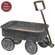 Rustic Metal Wagon