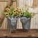 Metal Pig Planter