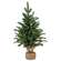 Soft Touch Alpine Tree w/Burlap Base - 2 Ft., HR302501