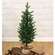 Soft Touch Alpine Tree w/Burlap Base - 3 Ft., HR302502