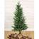 Soft Touch Alpine Tree w/Burlap Base - 4 Ft., HR302503
