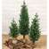 Soft Touch Alpine Tree w/Burlap Base group, HR302501, HR302502, HR302503
