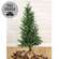 Soft Touch Alpine Tree w/Burlap Base - 4 Ft., HR302503