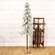 Snowy Bristle Pine & Boughs Tree w/Burlap Base, 56" QE152549;