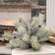 Snowy Bristle Pine & Boughs Half Sphere, 15" SH262503;