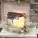 Snowy Bristle Pine & Boughs Candle Ring, 6.5" SH262504;