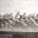 Snowy Bristle Pine & Boughs Garland, 6 ft SH262505;