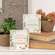 Hoarding Plants Block - 2 Asstd.