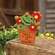 A Leap of Faith Froggy Flower Pot Sitter, #39015