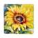 4/Set - Watercolor Sunflower Coasters & Holder