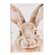 Happy Easter or Spring Watercolor Bunny Box Sign - 2 Asstd.