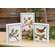 Rustic Bird Box Sign - 3 Asstd.
