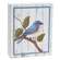 Rustic Bird Box Sign - 3 Asstd.